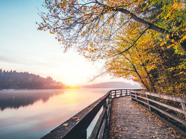 Walking trail next to water