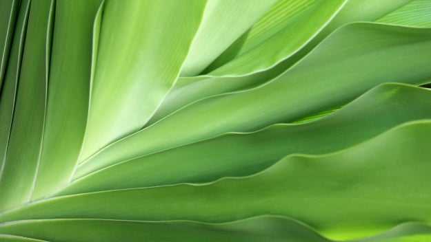 Startup - Equity Compensation