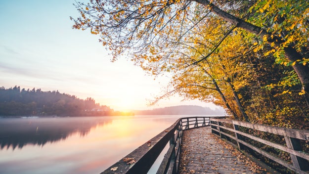 Walking trail next to water