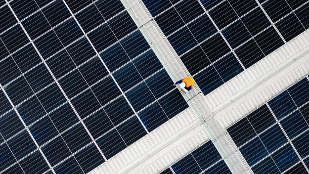 Worker standing among solar panels